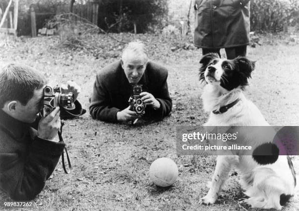 Little dog called "Pickles", a mongrel, is posing with a ball in front of two photographers on 9 April 1966. During the time leading up to the 1966...