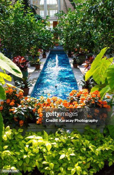 927 National Botanical Gardens Stock Photos, High-Res Pictures, and ...
