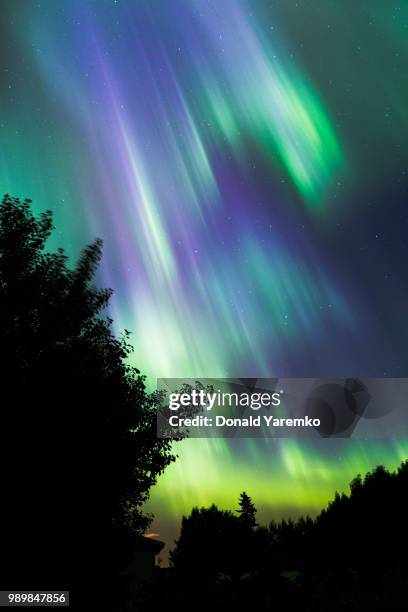 northern lights - rainbow forrest abstract bildbanksfoton och bilder