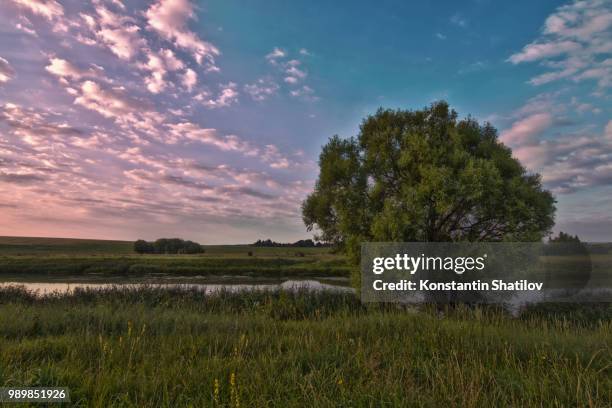 upa river - shatilov stock pictures, royalty-free photos & images