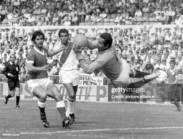 Diving Peruvian goalkeeper Luis Rubinos catches the ball, German goalgetter Gerd Mueller and Peruvian opponent Orlando de la Torre stop running....