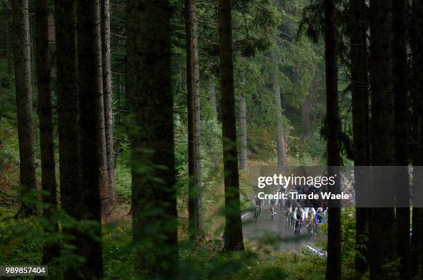 Tour Of Germany, Stage 7Illustration Illustratie, Peleton Peloton, Landscape Paysage Landschap, Rain Pluie Regen, Forest Bois Fã´Ret Bos Woudstage 7...