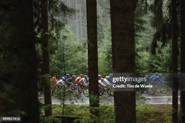 Tour Of Germany, Stage 7Illustration Illustratie, Peleton Peloton, Landscape Paysage Landschap, Rain Pluie Regen, Forest Bois Fã´Ret Bos Woudstage 7...