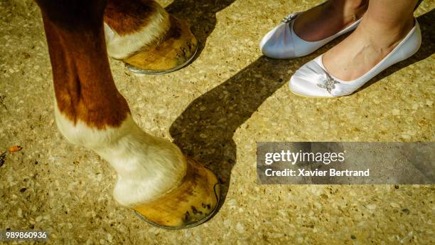 une danse - danse photos et images de collection
