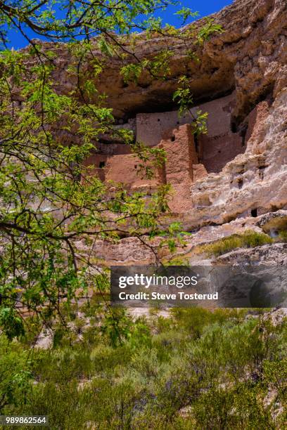 montezuma's castle - montezuma castle stockfoto's en -beelden