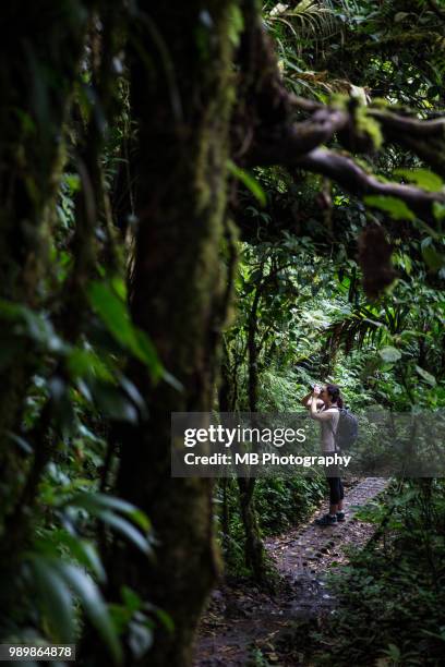 young woman bird watching - monteverde cloud forest reserve stock pictures, royalty-free photos & images