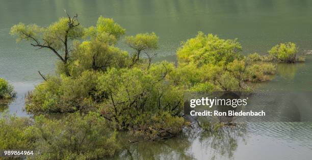 sugar bay anf - anf stock pictures, royalty-free photos & images