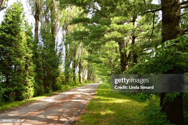 chemin calme - calme fotografías e imágenes de stock