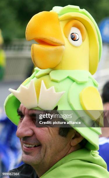 Supporter from Brazil prior to the group F match of 2006 FIFA World Cup between Japan and Brazil in Dortmund on Thursday, 22 June, 2006....