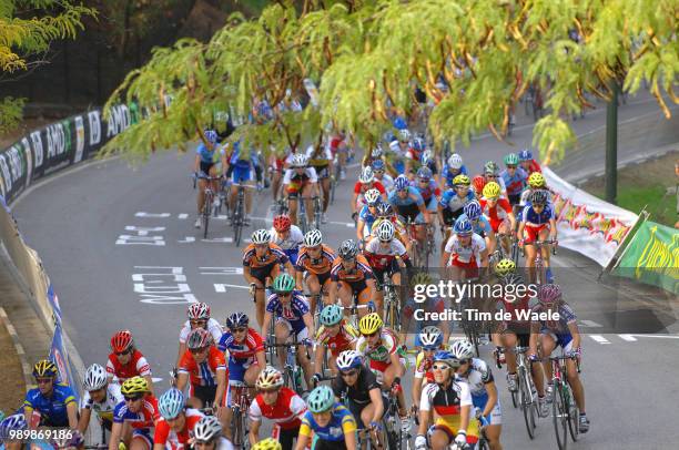 Wc, Road Race Women Eliteillustration Illustratie, Peleton Peloton, Landscape Paysage Landschap, Forest Bois Boscourse En Ligne Femmes Elite, Elite...