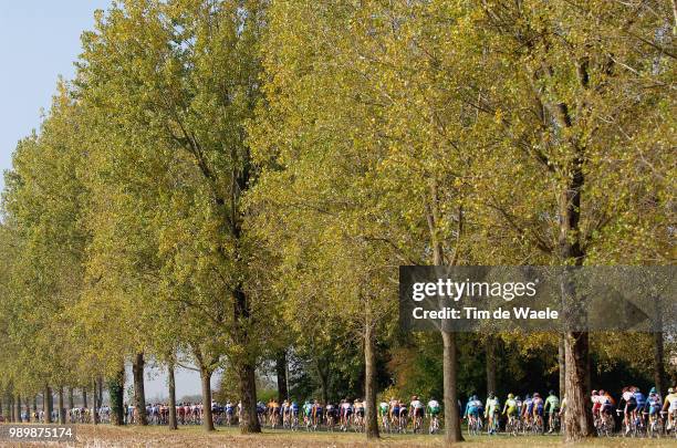 Paris - Tours Illustration Illustratie, Peleton Peloton, Landscape Paysage Landschap, Forest Fã´Ret Bosparijs, Uci Pro Tour