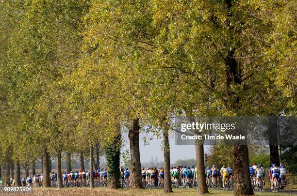 Paris - Tours Illustration Illustratie, Peleton Peloton, Landscape Paysage Landschap, Forest Fã´Ret Bosparijs, Uci Pro Tour