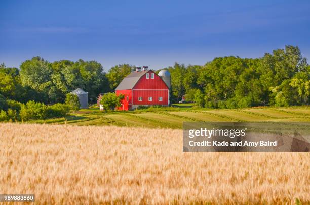 red farmhouse - fienile foto e immagini stock