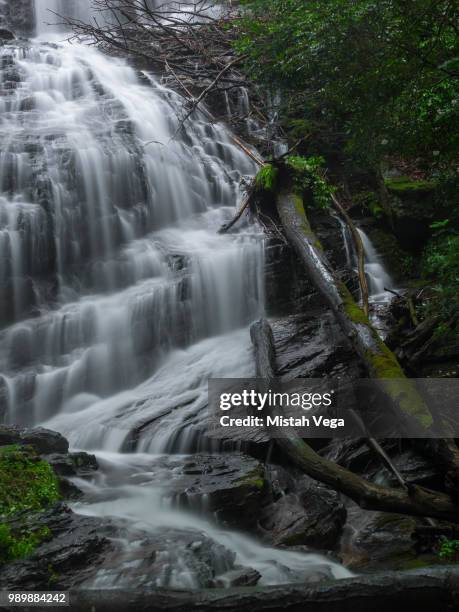 horse trough falls - horse trough 個照片及圖片檔