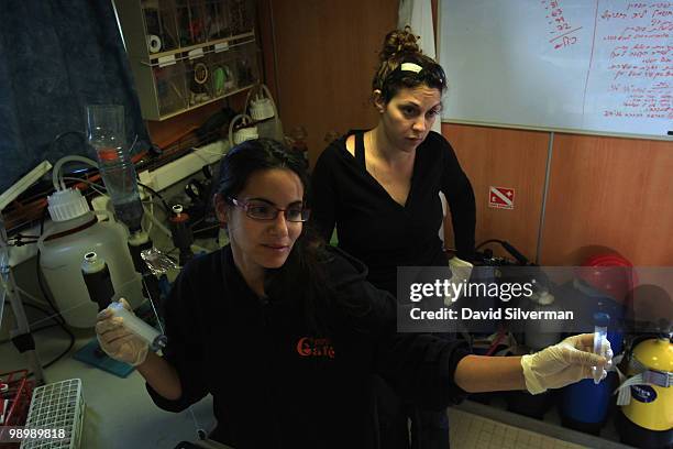 Israeli researchers perform experiments on board EcoOcean's marine research vessel Mediterranean Explorer after gathering water samples at various...