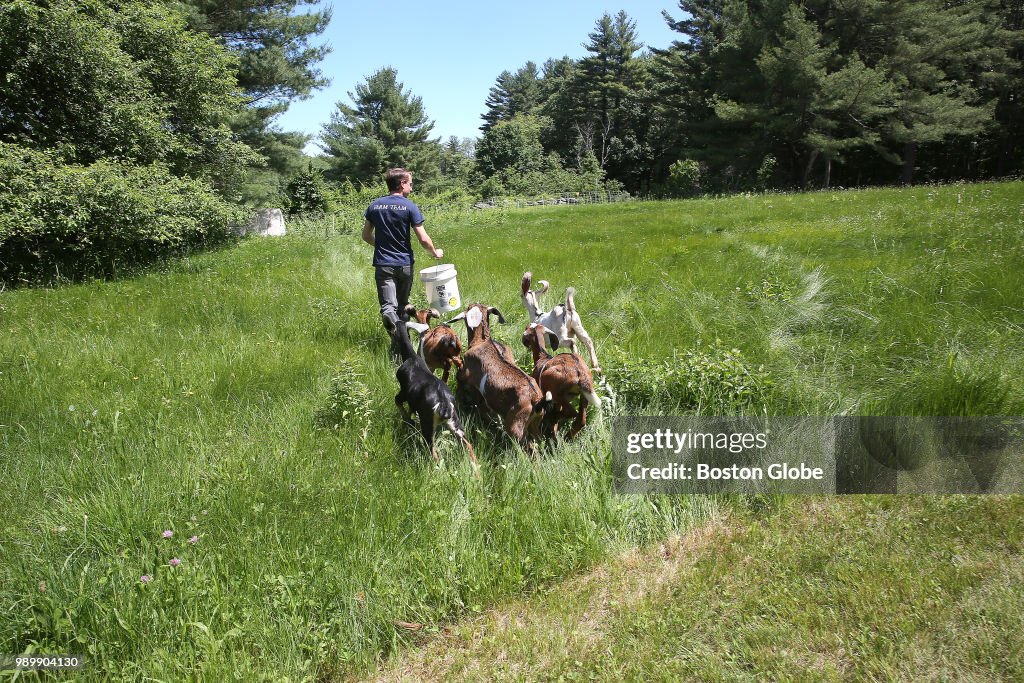 Fraser Farm GoatScaping