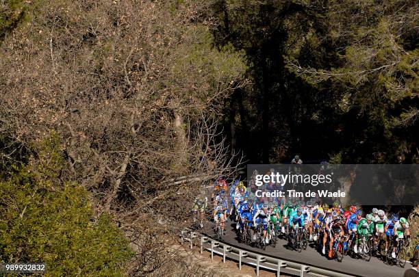 Tour Mã©Diterranã©En, Stage 2Illustration Illustratie, Peleton Peloton, Landscape Paysage Landschap, Forest Fã´Ret Bosberre L'Etang - Toulon Mt Faron...