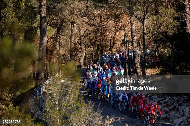 Tour Mã©Diterranã©En, Stage 2Illustration Illustratie, Peleton Peloton, Landscape Paysage Landschap, Forest Fã´Ret Bosberre L'Etang - Toulon Mt Faron...