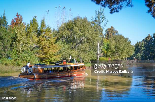 tigre, delta, buenos aires, argentina - radicella stock pictures, royalty-free photos & images