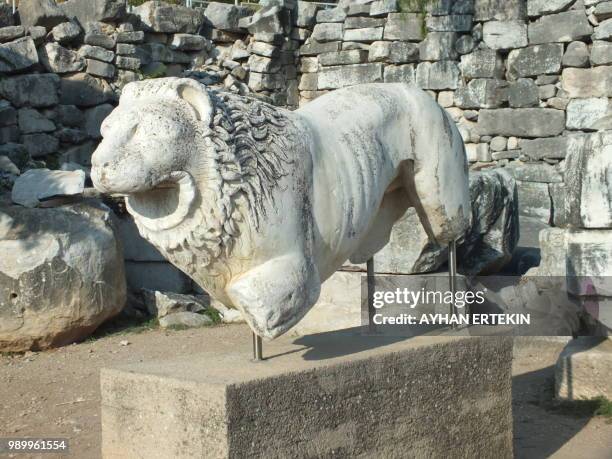 priene ruins - priene 個照片及圖片檔