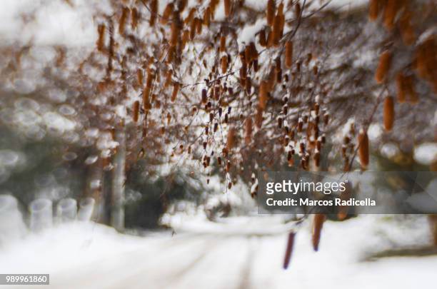 street of bariloche in winter - radicella photos et images de collection