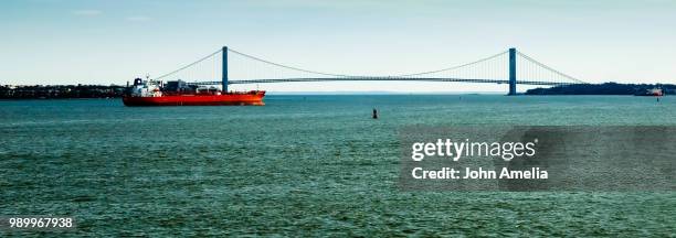 new york bay - verrazano narrows bridge - verrazano stock pictures, royalty-free photos & images