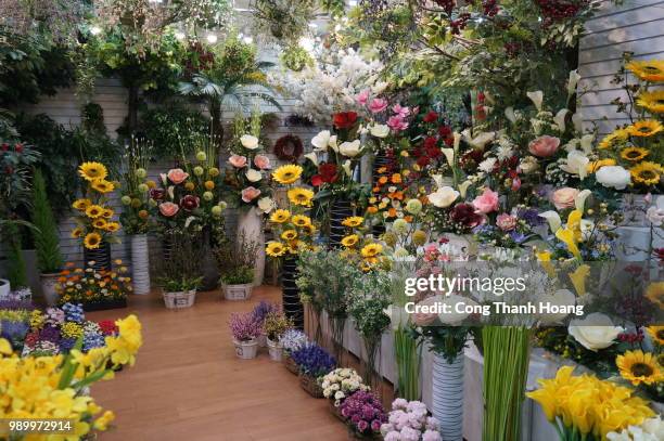 dsc09643.jpg - flower shop stock pictures, royalty-free photos & images