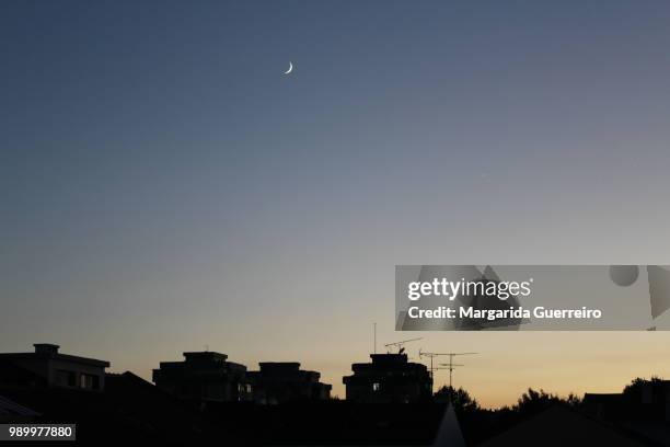 the moon and the star - margarida foto e immagini stock