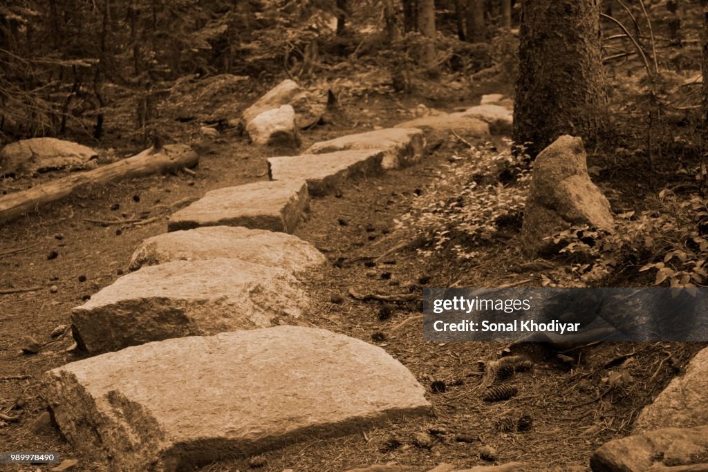 Walking on a path unforeseen
