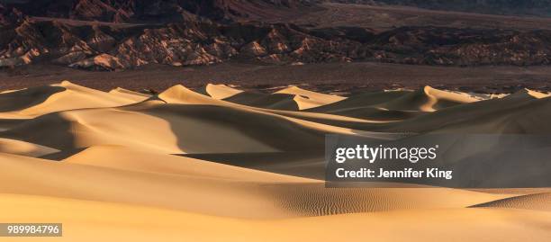 golden sand dunes - mesquite flat dunes stock pictures, royalty-free photos & images