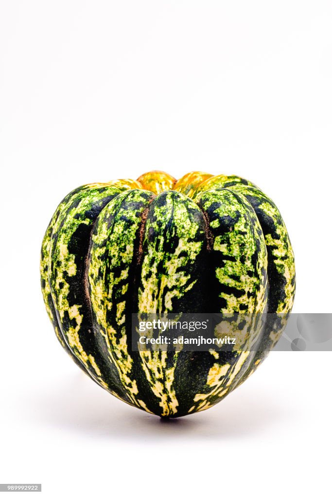 Acorn Squash Portrait