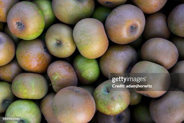 Mrs. Bushell 1.601 Mrs Bushell Stock Photos, High-Res Pictures, and Images - Getty ...