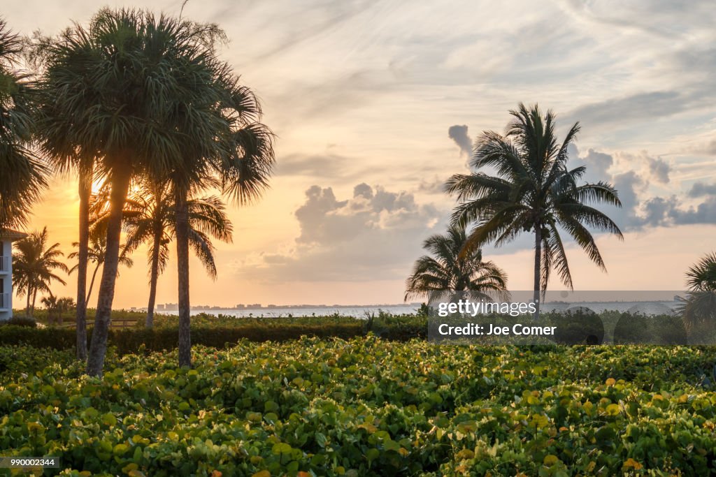 Sunrise at Sanibel