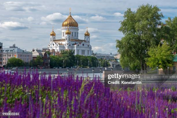 view of the cathedral of christ the savior through the flowerbed - templo de cristo o salvador - fotografias e filmes do acervo
