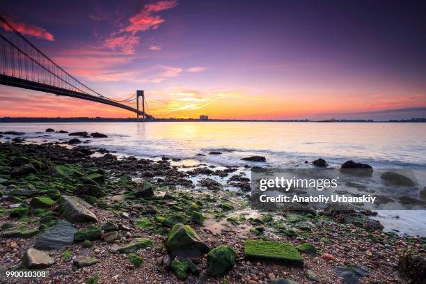 verrazano bridge - verrazano stock pictures, royalty-free photos & images