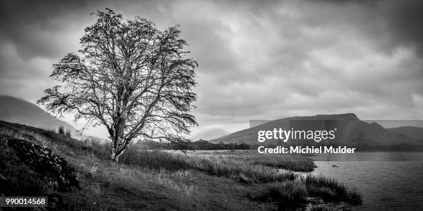 loch awe - loch awe bildbanksfoton och bilder