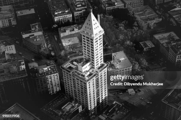 smith tower - smith tower bildbanksfoton och bilder