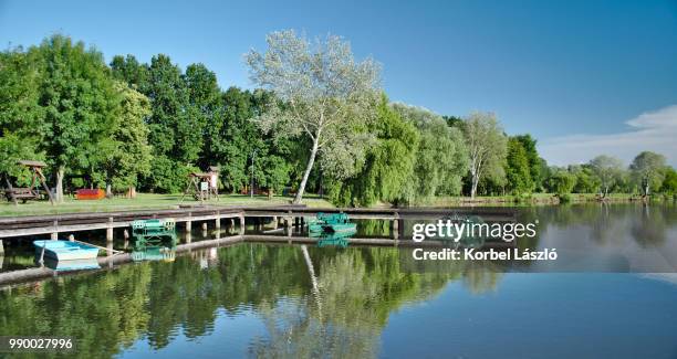 pier with pedal boats. - korbel stock pictures, royalty-free photos & images