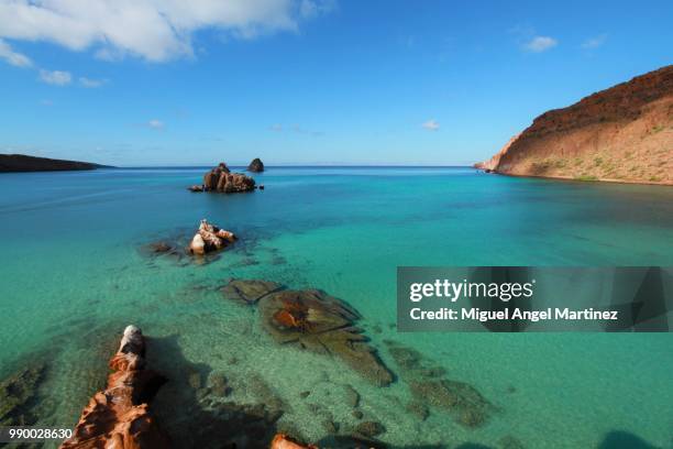 (el  candelero   bay.) - angel island stock pictures, royalty-free photos & images