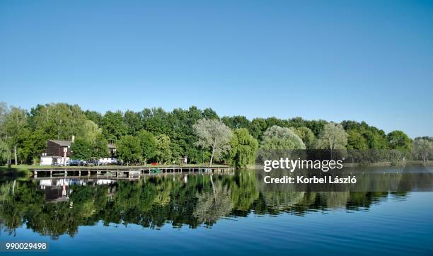 reflection of trees on the surface of a lake. - korbel stock pictures, royalty-free photos & images