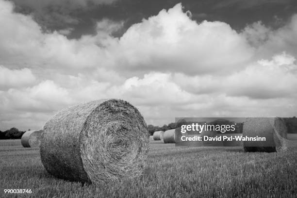 pxl landschaften ernte - landschaften stock pictures, royalty-free photos & images