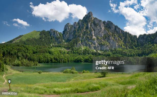 the beautiful laudachsee with mountain katzenstein, austrian alps, austria - vocklabruck stock pictures, royalty-free photos & images