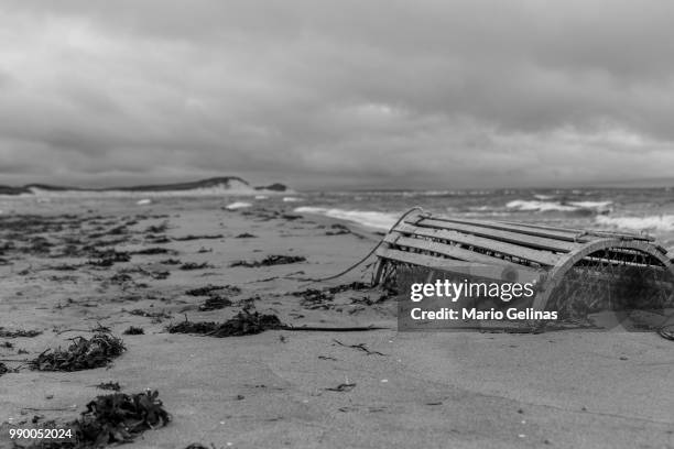 washed ashore b&w - ashore stock pictures, royalty-free photos & images