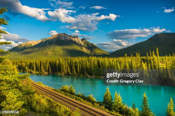 4,445 Pine Lake Stock Photos, High-Res Pictures, and Images