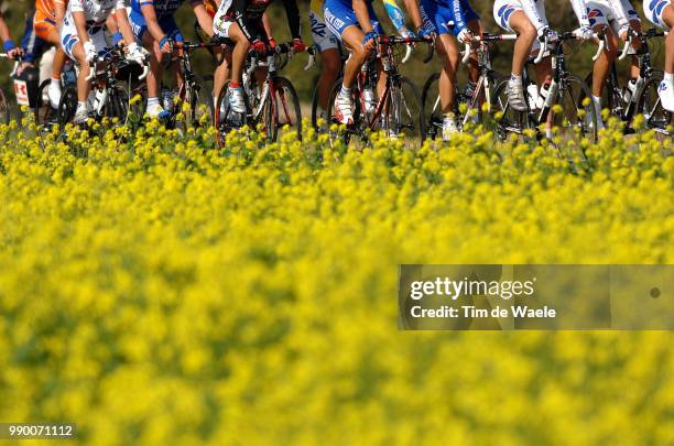 100Th Paris - Tours Illustration Illustratie, Peleton Peloton, Flowers Fleurs Bloemen, Legs Jambes Benen, Landscape Paysage Landschapparis - Tours ,...