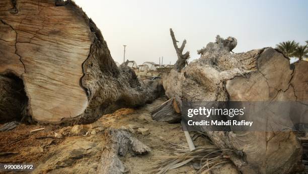 logs. - urgup stock pictures, royalty-free photos & images