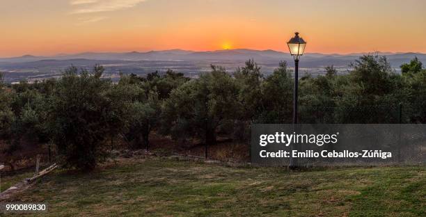 puesta de sol px - puesta de sol - fotografias e filmes do acervo