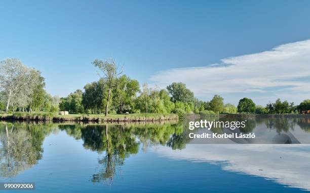 reflection of landscape on water. - korbel stock pictures, royalty-free photos & images