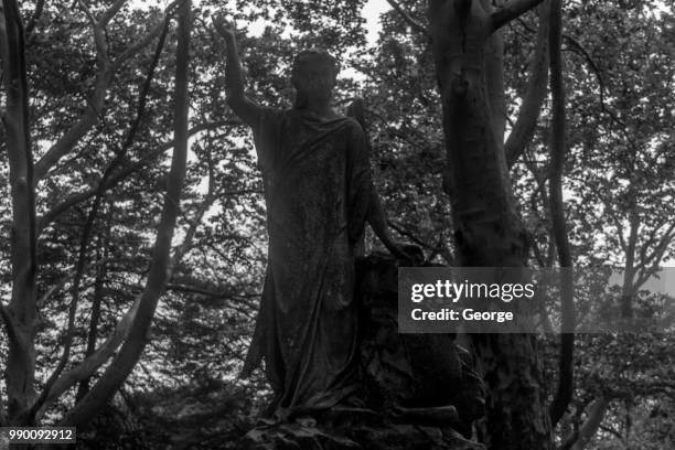 31 Forboding Stock Photos, High-Res Pictures, and Images - Getty Images