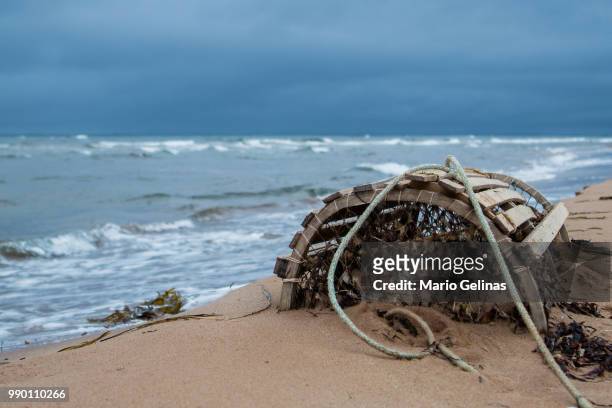 washed ashore 2 - ashore stock pictures, royalty-free photos & images